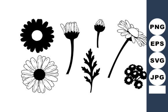 Black and White Daisy Vector: A Designer's Review