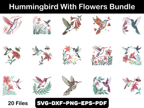Hummingbird Graphics & Illustrations Review