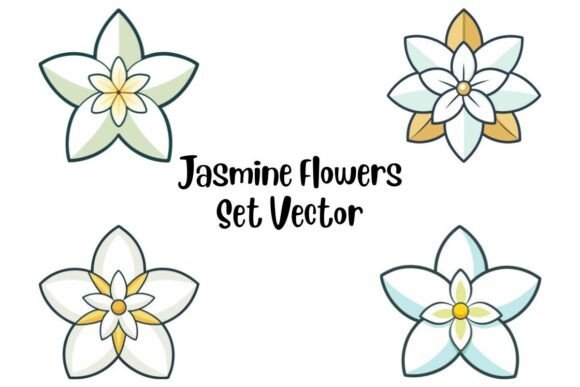 Jasmine Flowers Set Vector: Premium Graphics & Illustrations