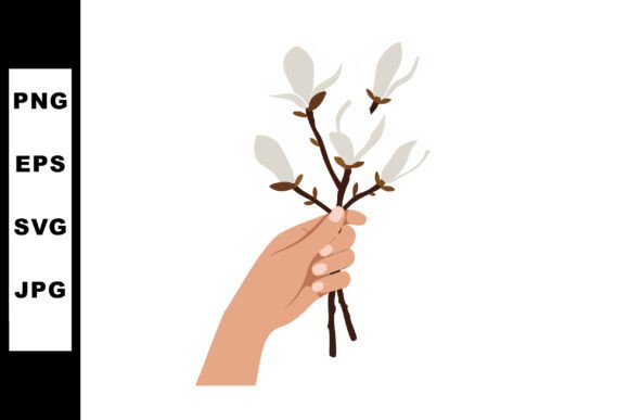 Magnolia Graphics & Illustrations for Branding