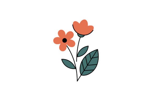 Orange Flower Graphics & Illustrations Review