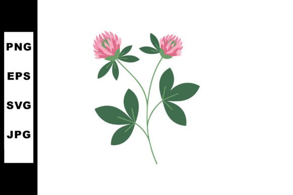 Pink Clover Graphics: Fresh Illustrations for Blogs