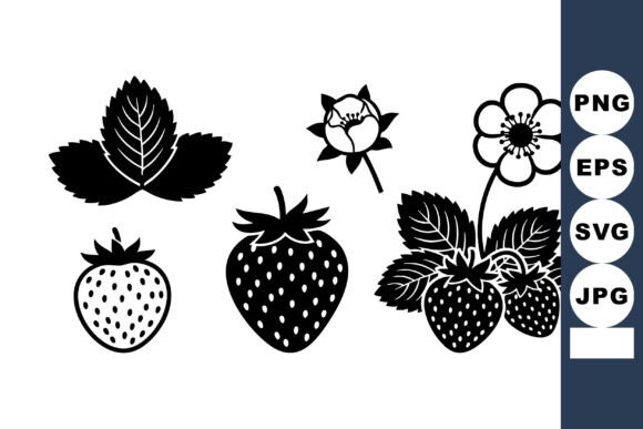 Strawberry Fruit Plant Leaves Flowers an: Graphics & Illustrations